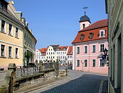 20090501390DR Wurzen Domgasse Markt Rathaus.jpg