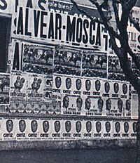 Archivo:Alvear-mosca-1937