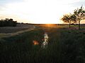Amarguillo River