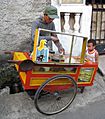 Asinan seller 1