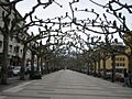 Avenida de España