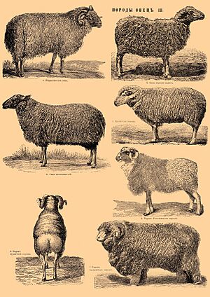 Archivo:Brockhaus and Efron Encyclopedic Dictionary b42 686-0