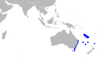 Range of dumb gulper shark (in blue)