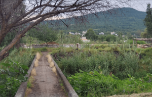Archivo:Cerro del Comal desde el Cuitzillo