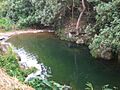 Charco El Mangó, Adjuntas, Puerto Rico (3)