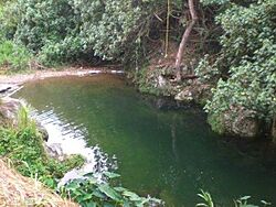Charco El Mangó, Adjuntas, Puerto Rico (3).jpg