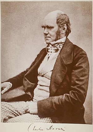 Archivo:Charles Darwin seated