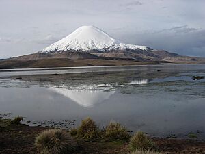 Archivo:Chile lauca parinacota2