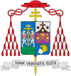 Coat of arms of Ricardo Jamin Vidal.svg
