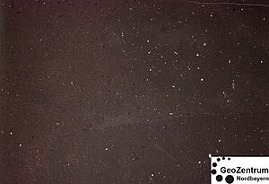 Archivo:DunhamMudstone