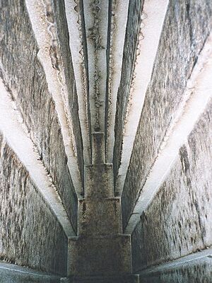 Archivo:Egypt.Dashur.RedPyramid.02