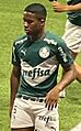 Endrick-Palmeiras-bragantino-fev2023-4 (cropped)