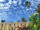 Flowers and Sky - San Jose del Cabo - Baja California Sur - Mexico - 01 (24055816311) (2).jpg