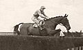 Golden Miller (IRE)