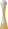 IC Trophy 2024.png