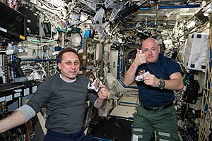 Archivo:ISS-43 Anton Shkaplerov and Scott Kelly in Destiny lab