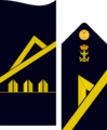 Infmaridivi05