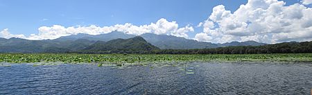 Archivo:Lago de Yojoa - Los Naranjos 1