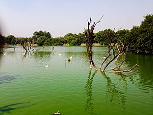 Archivo:Lake near hauz khas