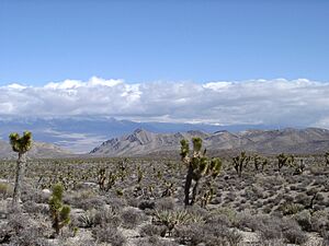 Archivo:Lasvegasclimate