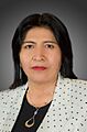 Lindaura Rasguido Mejía. Official portrait, 2020. Chamber of Senators of Bolivia