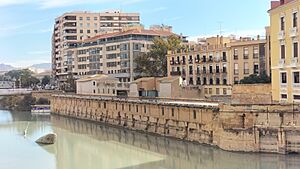 Archivo:Molinos del Río