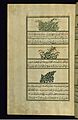 Muhammad ibn Muhammad Shakir Ruzmah-'i Nathani - Tarragon, Lentil, and Fox Grapes - Walters W659236A - Full Page