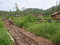 Ocha Krom rainy season road 09 05