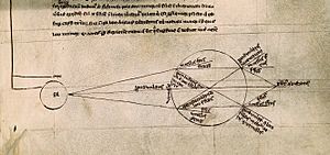 Archivo:Optics from Roger Bacon's De multiplicatone specierum