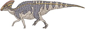 Archivo:Parasaurolophus with frill