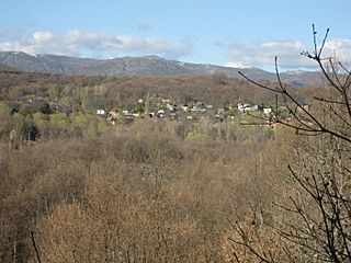 Pedrazales desde el monte Aberneo de Galende.jpg