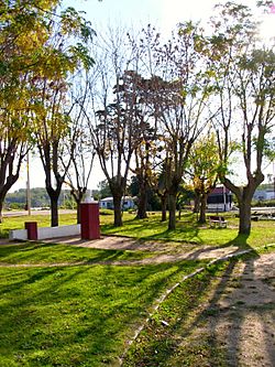 Archivo:Plaza in Empalme Olmos