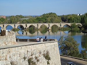 Archivo:Puente de Piedra.001 - Zamora