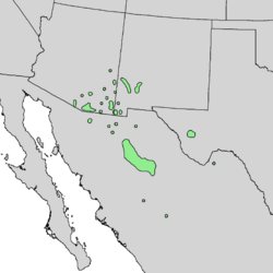 Distribución natural Quercus hypoleucoides