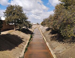 Río de las Yeguas - La Roda de Andalucía.jpg