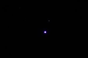 Archivo:Regulus 1