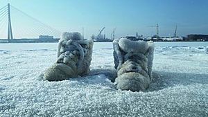 Archivo:Salted Lake (Salt Crystal Shoes on a Frozen Lake)