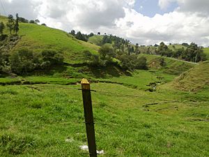 Archivo:Santa Rosa de Osos - panoramio (4)