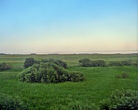 Siberian plain.jpg
