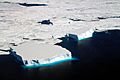 Small Tabular Icebergs (26376305448)