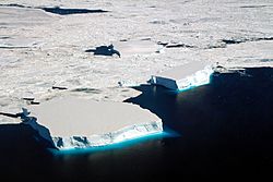 Archivo:Small Tabular Icebergs (26376305448)