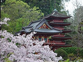 Spring in Golden Gate Park.jpg