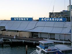 Sydney Aquarium.jpg