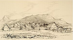 Archivo:Tarapoto, Spruce 1856