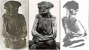 Archivo:The San Pedro Mountain Mummy