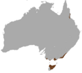 White-footed Dunnart area