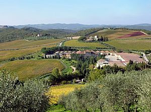 Archivo:Wine-growing holding in the Chianti region