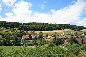 Archivo:Wislikofen 03