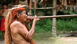Archivo:Yahua Blowgun Amazon Iquitos Peru