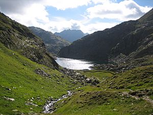 Archivo:Above Tomasee